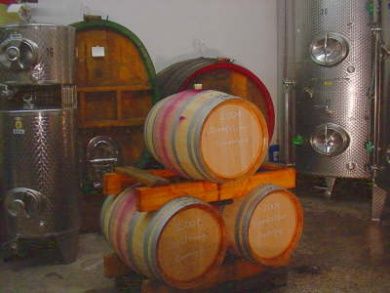 Ferienweingut Cuntz 
