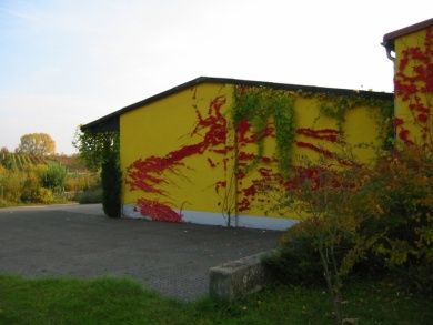 Ferienweingut Cuntz 