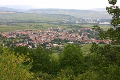FamilienWeingut Feser mit Vinothek, ****Ferienwohnungen & Erlebnis