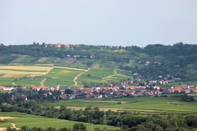 FamilienWeingut Feser mit Vinothek, ****Ferienwohnungen & Erlebnis