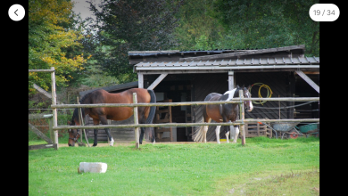 Ferienhaus Heindrichs