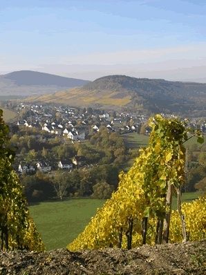 Gästezimmer & Weingut Fries - Übernachtung an der Mosel