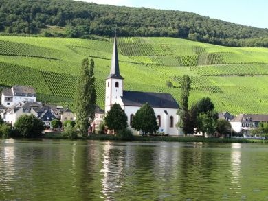 Weingut & Gästehaus Schäfer-Dienhart