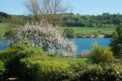 Hotel - Cafe Maarblick in der Vulkaneifel - UFERZONE14