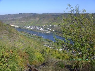 Ferienwohnung Moselblick (Mittelmosel)