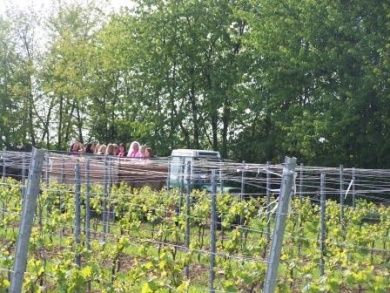 Weingut Markus Eppert