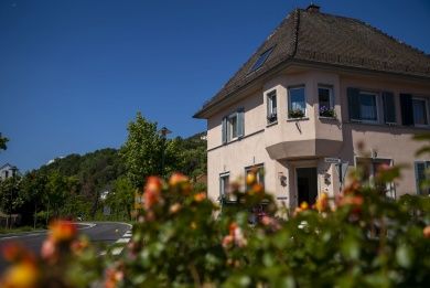 Winzerhof Schwerdt - Ferienappartements