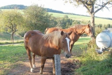 Ferienwohnung Unterer Hardthof