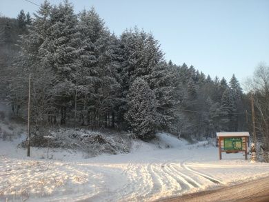 4-Sterne-Ferienwohnung (DTV-Klassifizierung) - Am Waltersbach in Eußerthal - Pfalz