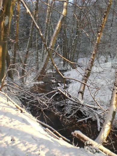 4-Sterne-Ferienwohnung (DTV-Klassifizierung) - Am Waltersbach in Eußerthal - Pfalz