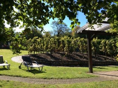 Ferienweingut Evelyne Keifer