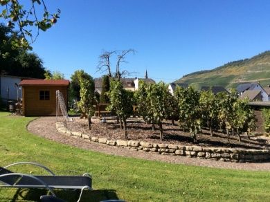 Ferienweingut Evelyne Keifer