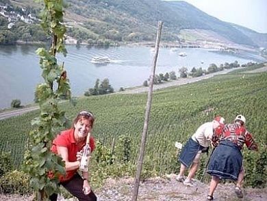 Ferienweingut Evelyne Keifer