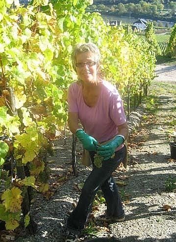 Ferienweingut Evelyne Keifer