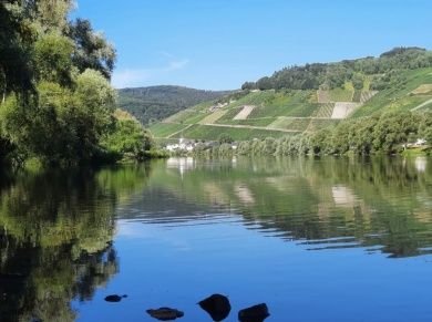 Ferienweingut FERRES an der Mosel