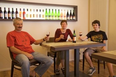 Ferienhaus - Am Steingebiss - Weingut Pfalz - Bed & Breakfast