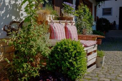 Weingut & Gästehaus Richard Rinck - Urlaub auf dem Winzerhof