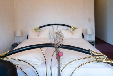 Hotel Schlosshof in Rheinhessen