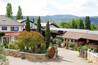 Ferienwohnung & Weingut Wegner