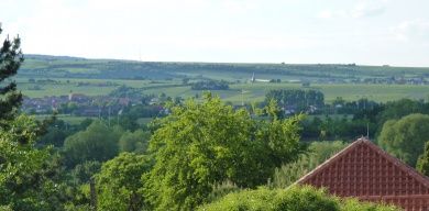 Ferienwohnung & Weingut Wegner