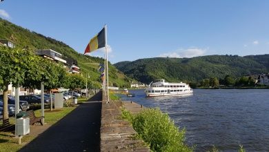Fewo Hallenbach mit herrlichem Moselblick