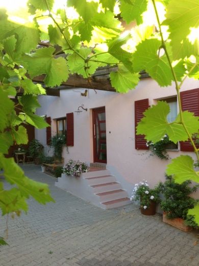 Ferienwohnung Schuhmacher-Theil in Rheinhessen