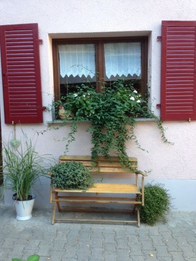 Ferienwohnung Schuhmacher-Theil in Rheinhessen