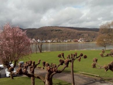 Rheinapartment Oetting
