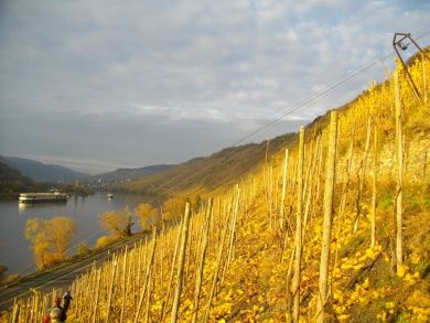 Casa Barzen - Stilvoll Urlauben an der Mosel