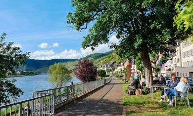 Fewo Hallenbach mit herrlichem Moselblick