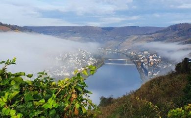 Fewo Hallenbach mit herrlichem Moselblick