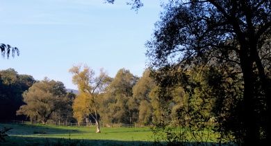 Camping Rheineck Bad Breisig am Rhein
