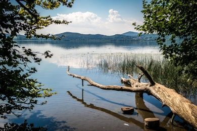 5 Sterne Ferienhaus Tommy am idyllischen Waldsee Rieden