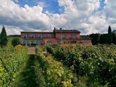 Weingut Tiliahof 