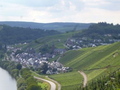Ferienwohnung Weingut Moselperle