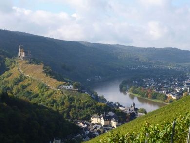 Ferienwohnung Weingut Moselperle