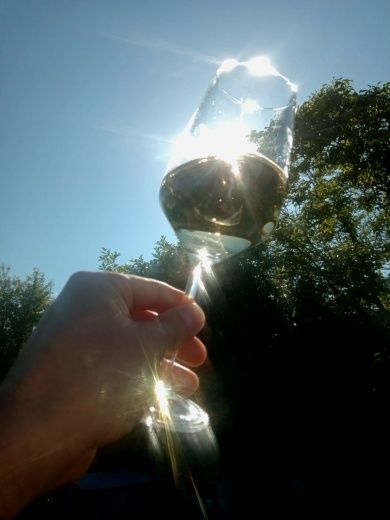 Weingut Tiliahof 