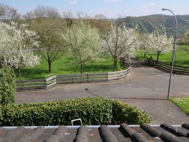 Ferienwohnung Dreiburgenblick und Ferienwohnung Gardenlounge