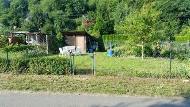 Ferienwohnung Elisabeth Gietz - Mittelrhein