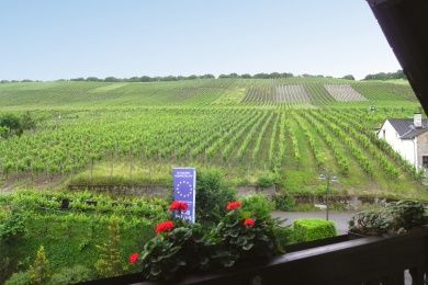 FERIENWOHNUNG   WEITBLICK  Nr. 11   für 4 Personen -     MIT PANORAMABLICK -