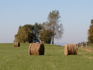 Ferienwohnung mit Herz