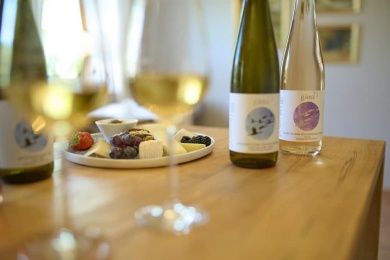 BioWeingut & Landhotel Gänz