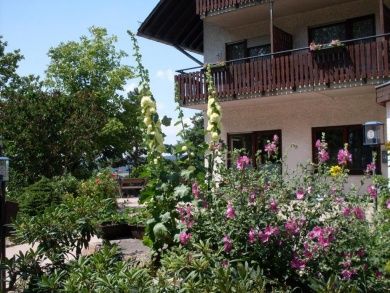 Hotel Wildenburger Hof