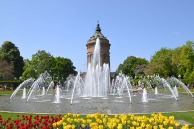 Ferienwohnung Zauber der Pfalz
