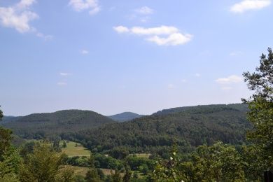 Ferienwohnung Zauber der Pfalz