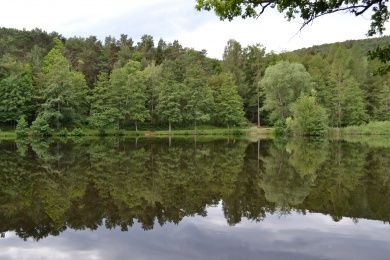 Ferienwohnung Zauber der Pfalz