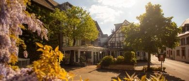 Ferienresidenz Brauneberger Hof an der Mosel nahe Bernkastel-Kues
