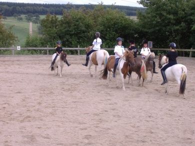 Reit- und Fahrstall Ponyhof Ludwig