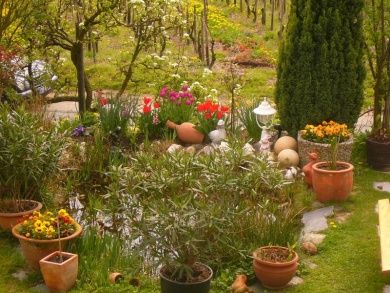 Ferienwohnungen Eckstein - das Urlaubsparadies an der Mosel