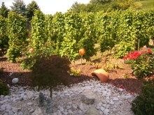 Ferienwohnungen Eckstein - das Urlaubsparadies an der Mosel